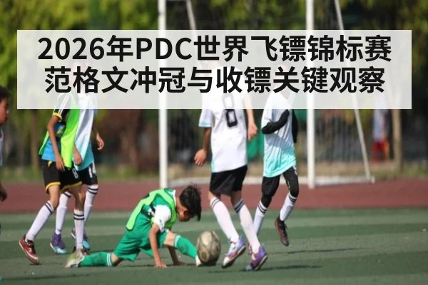 2026年PDC世界飞镖锦标赛范格文冲冠与收镖关键观察 - cba